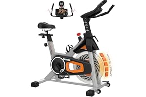 CHAOKE Exercise Bike, Adjustment Magnetic Resistance, Super Silent Belt Drive Indoor Bike for Home Workout, Stationary Bike with 350LBS Weight Capacity, Comfortable Seat Cushion, LCD Monitor