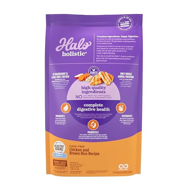 HALO HOLISTIC PUPPY FOOD, CAGE FREE CHICKEN & BROWN RICE RECIPE, HEALTHY GRAINS DRY DOG FOOD, COMPLETE DIGESTIVE HEALTH, 3.5 LB BAG