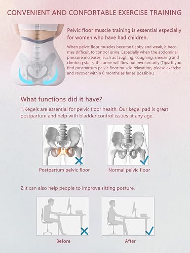 Pelvic Floor Muscles Exercises For Improved Bladder Control 1200x520