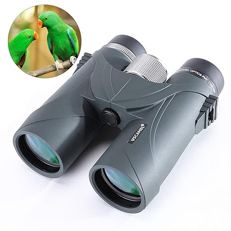 Fernglas für Erwachsene, 8x42 HD Compact Fernglas mit Tragetasche für Vogelbeobachtung, Wandern, Konzerte, Sightseeing, Starg