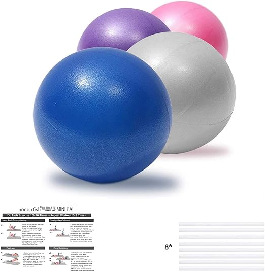 barre ball ab exercises
