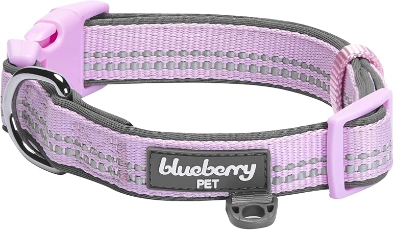 blueberry dog collar amazon