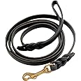 Ray Allen Mfg Signature K9 Braided Leather Leash, 6-Feet by 1/2-Inch, Black