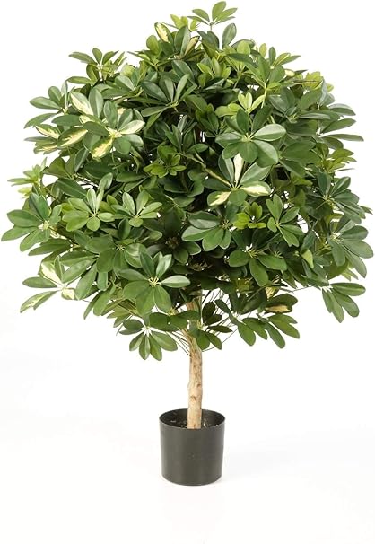 artplants.de Arbusto Schefflera Artificial con Tronco, en ...