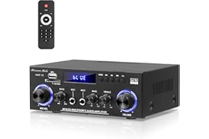 AMP-10 Bluetooth Amplifier RMS 50WX2 Home Stereo Audio Amplifier 2.0K Max 600W Output Mini Power Amplifier with FM Radio Echo