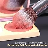 BEAKEY 12 Pcs Makeup Brush Set with 2 Sponges Premium Synthetic Kabuki view 6