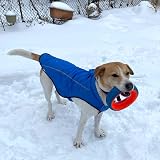 Mile High Life Dog Raincoat Adjustable Waterproof Reflective XXS Blue view 9