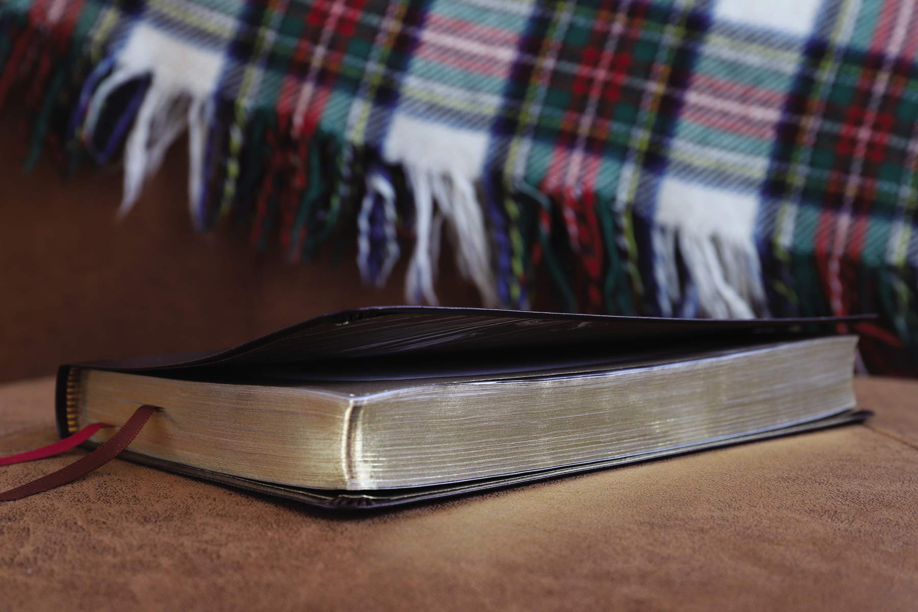NIV, Thinline Bible, Bonded Leather, Burgundy, Red Letter, Comfort Print
