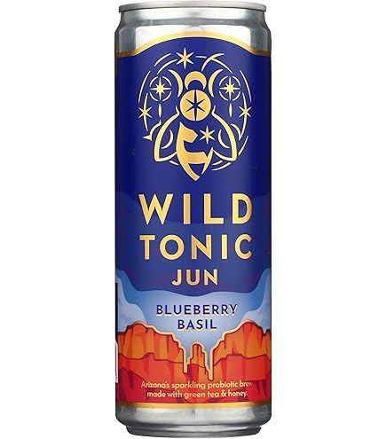 Amazon.com: Wild Tonic, Kombucha Blackberry Mint Organic, 12 Fl Oz