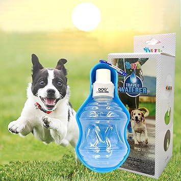 best dog water bottle uk