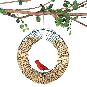 Hanging Peanut Wreath Bird Feeder Amazon Co Uk Garden Outdoors