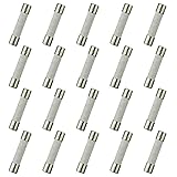 HUAREW T30AL250V 20 Pcs 6x30 mm 0.24 x 1.18 inch