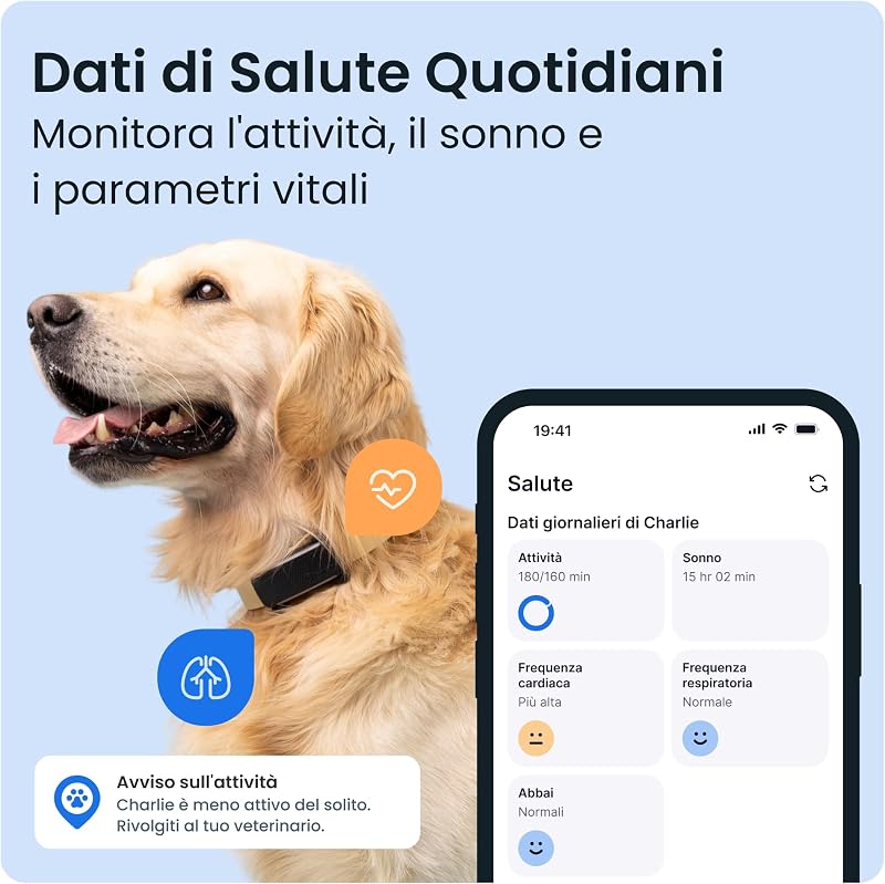 GPS Cani Intelligente | 2025 Edizione | Localizzazione GPS in Tempo Reale | Notifiche Antifuga e Avvisi di Salute | Monitoraggio dei Parametri Vitali | N. 1 sul Mercato (Bundle (Nero))