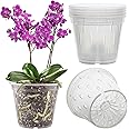 REMIAWY Orchid Pot, 6 Pack Orchid Pots with Holes, 5.5 Inch Clear Orchid Pots for Repotting, Plastic Flower Plant Pot Indoor Outdoor, Breathable Slotted Orchids Planter