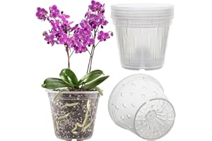 REMIAWY Orchid Pot, 6 Pack Orchid Pots with Holes, 5.5 Inch Clear Plastic Flower Planters for Repotting Indoor Outdoor, Breathable Slotted Nursery Planter
