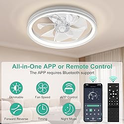 20In Low Profile Ceiling Fans with Lights, Modern