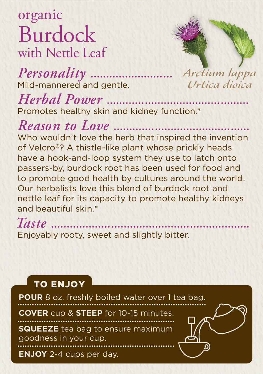Traditional Medicinals Organic Ginger with Chamomile Herbal Leaf Tea - Image 4