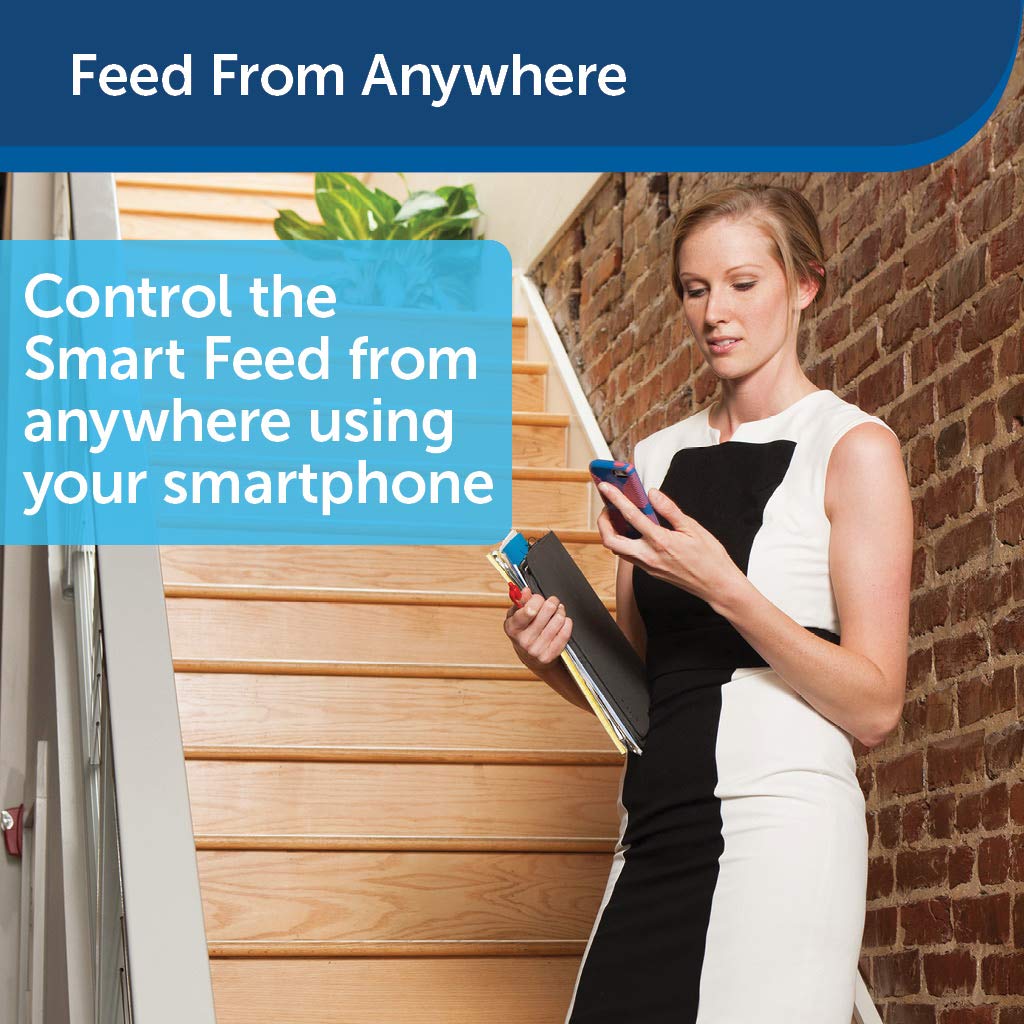 petsafe smart feed app