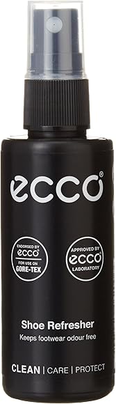 shoe refresher ecco