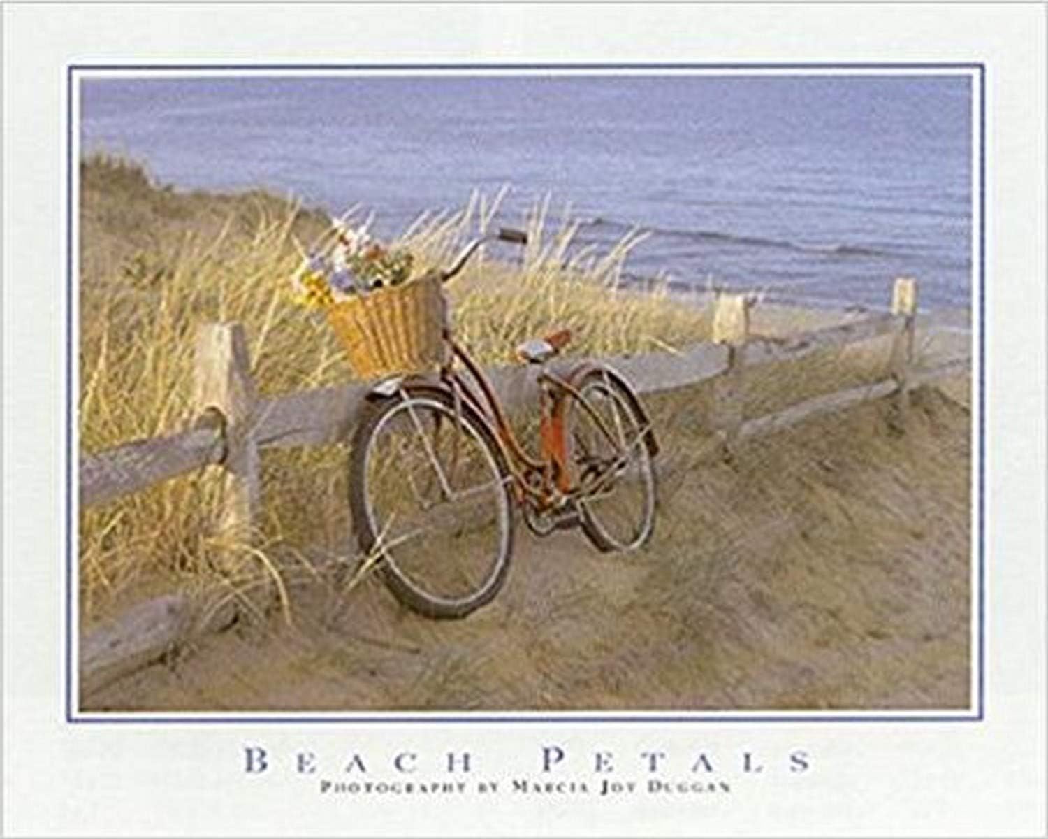 bicycle on beach