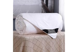 LilySilk Silk Comforter with Cotton Shell 100% Real Silk Duvet Queen 87x90 Inches, Long Strand Silk Filled, Smooth Lightweight