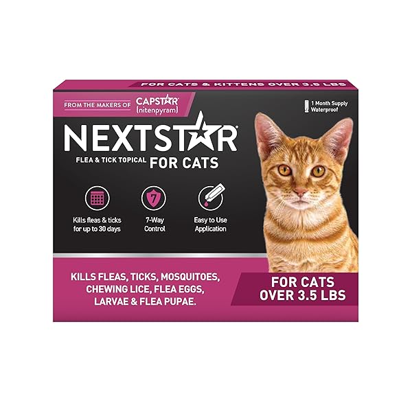 NEXTSTAR FLEA AND TICK PREVENTION FOR CATS, REPELLENT AND CONTROL, FAST ACTING WATERPROOF TOPICAL DROPS, FLEA PREVENTION FOR CATS OVER 3.5 LBS, 1 MONTH DOSE