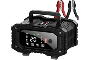 ABLY Battery Charger 20A 12V/24V LiFePO4 Lead Acid Fully Automatic Battery Maintainer, Car Battery Trickle Charger Automotive w/Battery Repair, Winter Mode, for AGM, STD, Gel, Deep Cycle Batteries