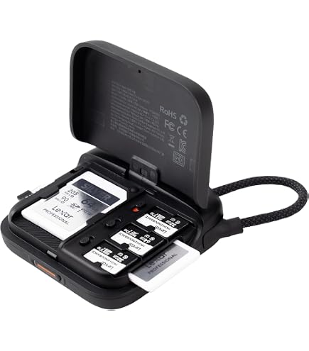 Llano Adaptateur De Lecteur De Carte SD/Micro SD 2 En 1 (prise En