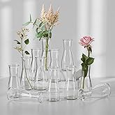 12 Flask Glass Bud Vases for Centerpieces, 5.6“ H Transparent Centerpiece Vases for Wedding Bridal Shower Birthday Party Baby Shower Table Decorations Home Decor