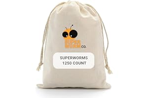 SUPERWORM CO - Bulk Superworms - Medium 1"-1.5"+ (1250ct)