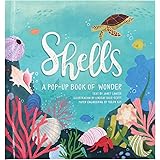 Shells: A Pop-Up Book of Wonder (4 Seasons of Pop-Up)