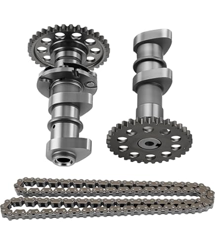 Amazon.com: Hot Cams 2249-1IN Intake Camshaft Compatible