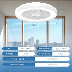 Modern Ceiling Fans with Lights - 19 inch Low