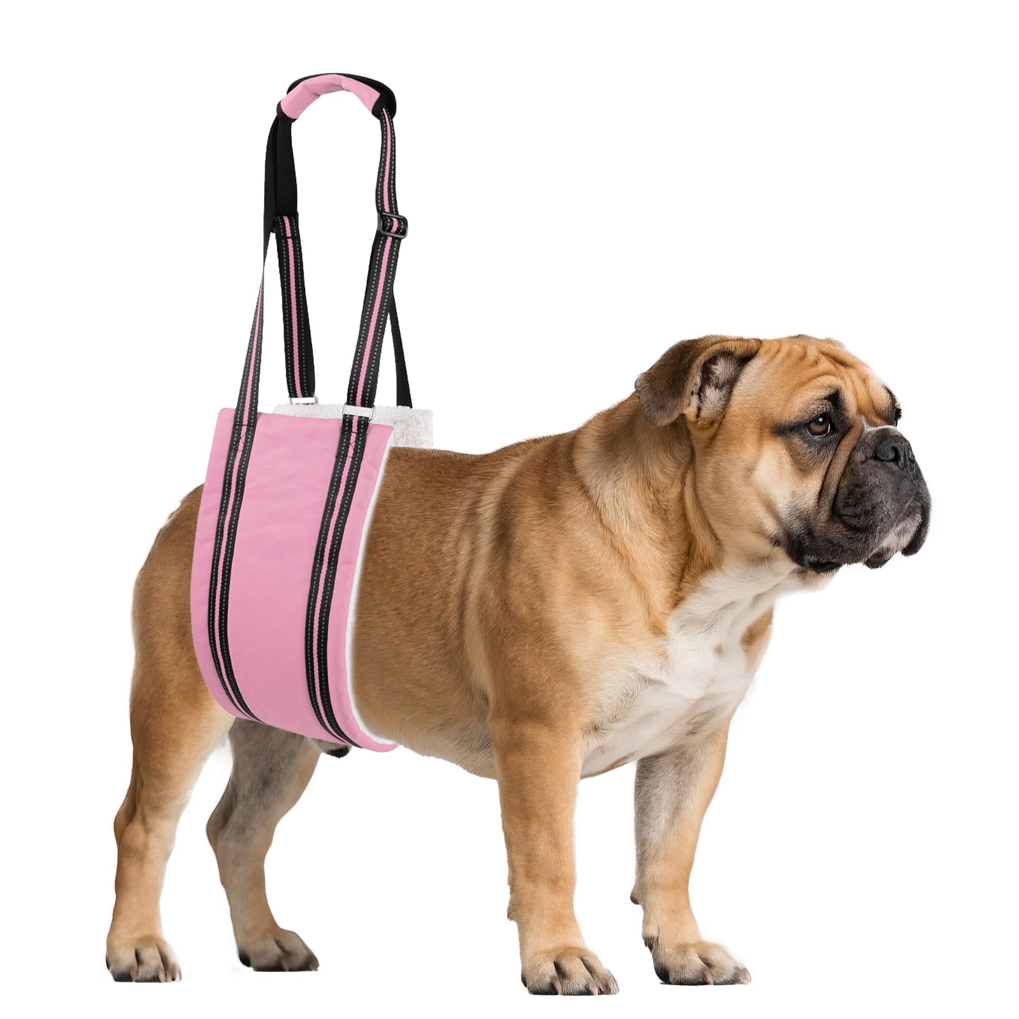 Photo 1 of AIITLE Adjustable Dog Slings for Small Dogs - Hind Leg & Hip Support Harness, Plush Rehab Lift Aid with Reflective Straps, Assist Elderly/Injured/Post-Surgery Dogs with Mobility Issues (Pink, S)
