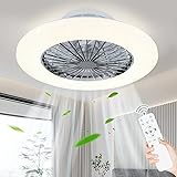 DLLT Ceiling Fan with Led Lights, 20'' Modern