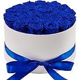 Otuo 27 Piece Preserved Roses in a Box - Forever Flowers for Delivery Prime, Eternal Roses Mothers Gifts for Mom, Valentine's Day, Wife Anniversary Birthday Gifts for Women(Blue)
