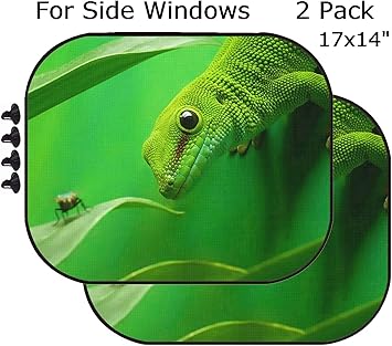 green gecko pet