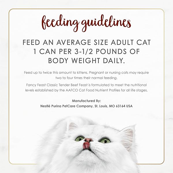 PURINA FANCY FEAST TENDER BEEF FEAST CLASSIC GRAIN FREE WET CAT FOOD PATE – (PACK OF 24) 3 OZ. CANS