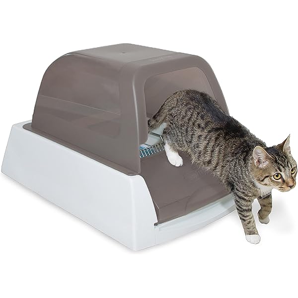 scoopfree ultra otomatik kedi tuvaleti amazon com tr