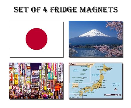 CFL SET OF 4 JAPAN CALAMITA DA FRIGO IMANES PARA NEVERA – JAPAN ...