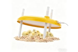 Egg Incubator-Incubators for Hatching Eggs, an Automatic Egg Turning Lab Incubator for Chicken and Quail - TRIOCOTTAGE M12