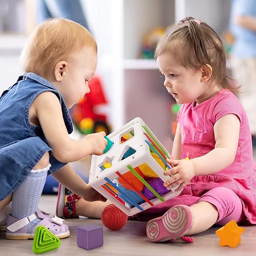 TOHIBEE Montessori Toys for Year Old, Sensory Toys Shape Sorter