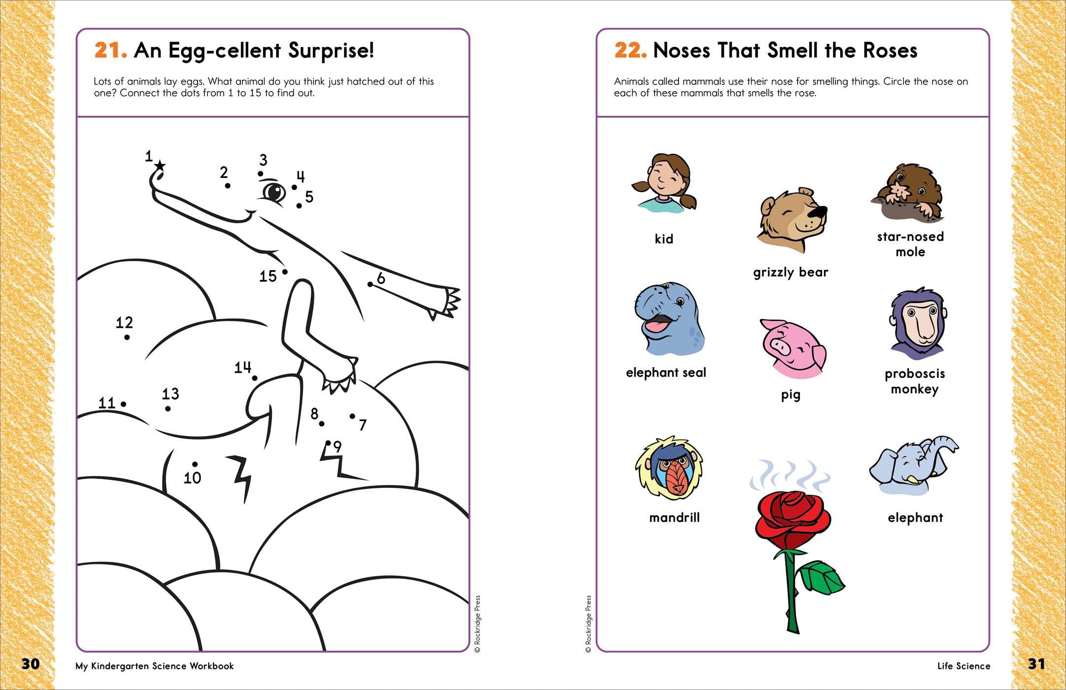 My Kindergarten Science Workbook: 101 Games & Activities to Support Kindergarten Science Skills