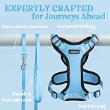 rabbitgoo Cat Harness and Lead Set Adjustable Escape Proof Sky Blue XS view 7