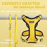 rabbitgoo Cat Harness and Lead Set Adjustable Escape Proof XS Yellow view 7