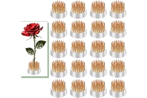 EGGONE Mini Kenzan Pin Frog 23mm/0.9inch Diameter Floral Ikebana Flower Arranger Holder for Small Vase (20Pcs)