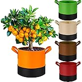 Fhyisble 5 Pack 5 Gallon Durable Grow Bags, 350G Heavy-Duty Fabric Pots with Handles, Breathable Plant Containers for Vegetables, Flowers, Fruits, Indoor & Outdoor Gardening, Aeration Fabric Planters