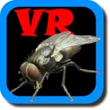 VR Fly