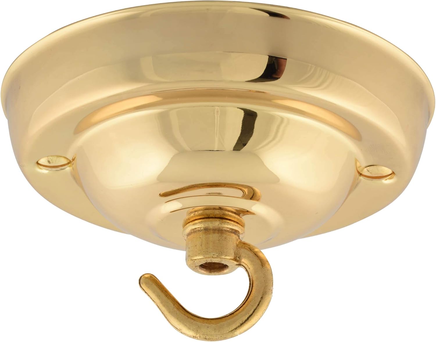 Bathroom Rose Light Fitting at Josephine Berkman blog