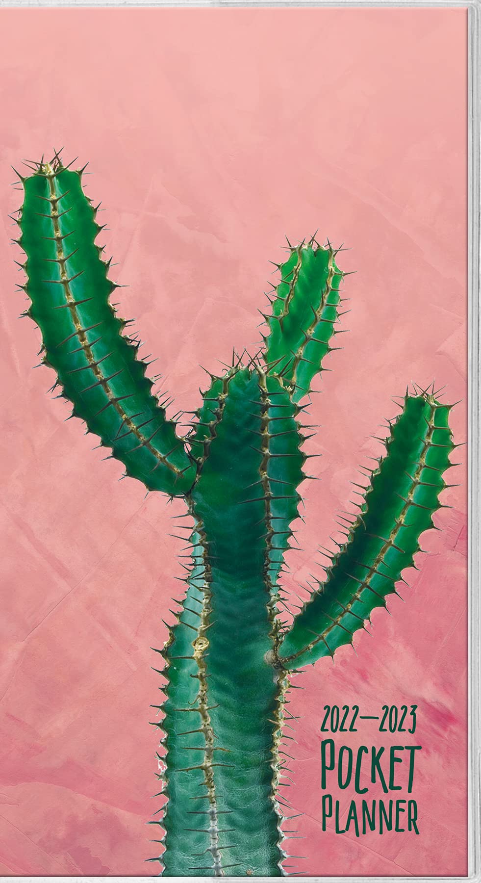 2022-2023 Cactus Pocket Planner: Trends International: 9781438882390: Amazon.com: Books